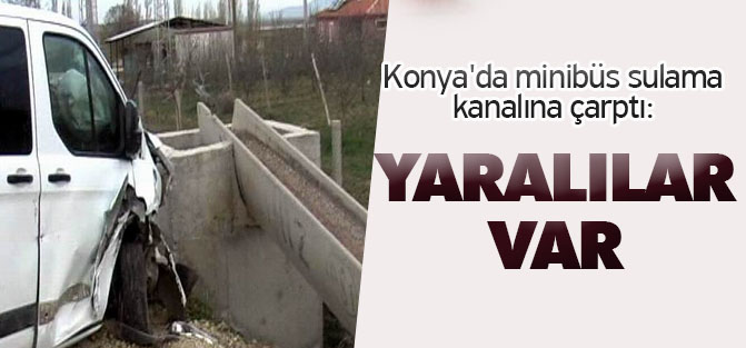 Minibüs sulama kanalına çarptı: 3 yaralı