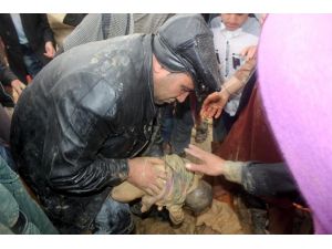 Afganistan'da sel: 6 ölü