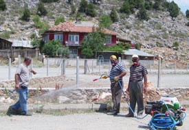 Şenlik öncesi 'kene' önlemi