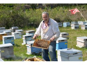 Karadenizli arıcılar göç hazırlığına başladı