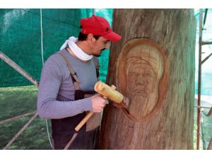 Kuruyan asırlık çınarı sanat eserine dönüştürüyor