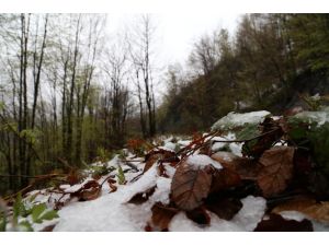 Bolu ve Sakarya'da kar yağışı