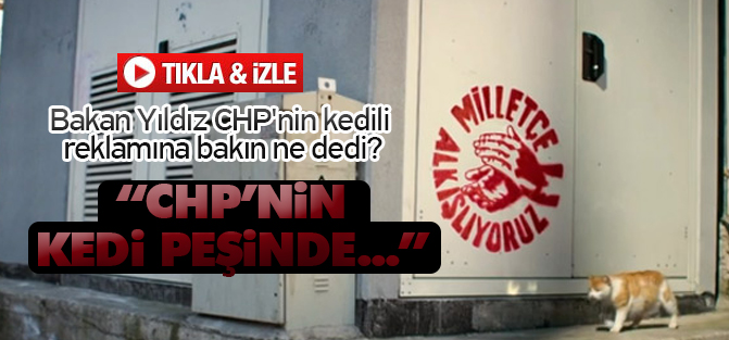 Bakan Yıldız CHP'nin kedili reklamına bakın ne dedi?