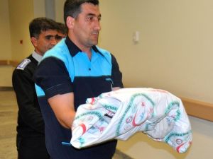 Çöpte yeni doğmuş bebek cesedi bulundu