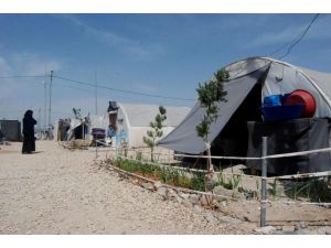 Çadır kenti bahçeye çevirdiler