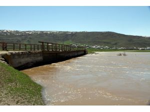 Muş'ta Su Taşkını