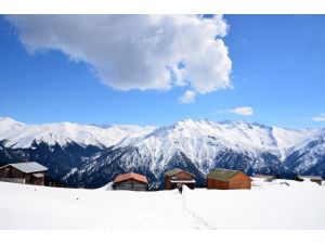 Pokut Yaylası Güzelliğiyle Büyülüyor