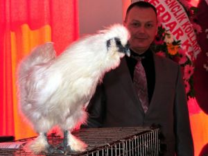 Bu Tavukların Yumurtaları Da Çok Kazançlı