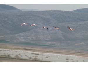 Doğaseverler Akgöl İçin Buluştu