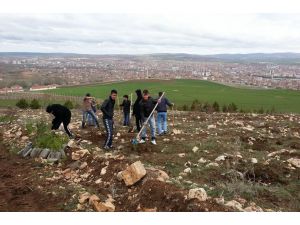 Sorgun’da 500 Fidan Dikildi