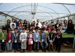 Eskişehir'de, "Benim Çiçeğim Benim Sebzem Projesi"