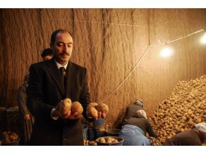 Patates Fiyatlarındaki Artış