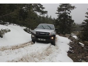 Beypazarı'nda Ormanlarda Kaçak Kesim Denetimi