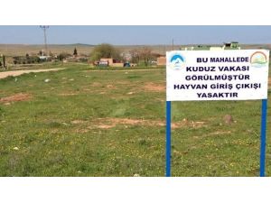 Şanlıurfa'da Karantina Uygulaması