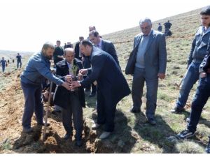 Hüyük'te Hatıra Ormanı Oluşturuldu