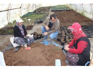 Erozyonla Mücadelede Kendi Bitkilerini Üretiyorlar