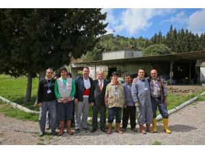 Zihinsel Engelli Çalıştırana "İşkur Koruması"