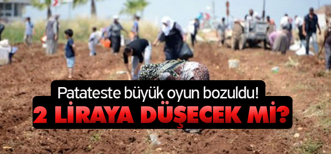 Patates ucuzlayacak mı? Büyük oyun bozuldu...