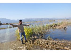 Büyük Menderes Nehri'ndeki Su Taşkını