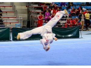 Türkiye Wushu Taolu Büyükler Ve Gençler Şampiyonası