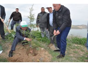 Kapulukaya Barajı'nda Ağaçlandırma Çalışmaları