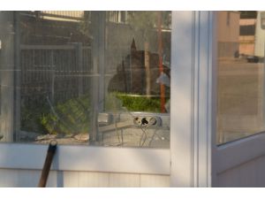 Siirt'te İzinsiz Gösteri