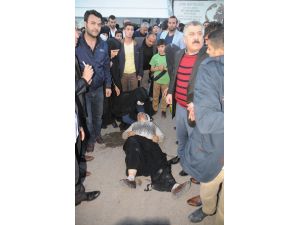 Cizre'de Trafik Kazası Sonrası Gerginlik