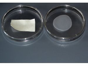 Yerli "Fıtık Yaması" Üretecekler