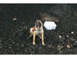 Van'da 3 Bin 940 Uyuşturucu Hap Ele Geçirildi