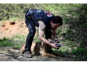 Kayıpları "Tim" Bulacak