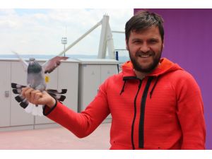 Ptt 1. Lig'in "Reis"i