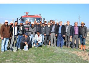 Aksaray’da 6 Bin Fidan Dikildi