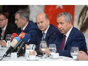 Başbakan Yardımcısı Arınç: (1)
