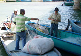 Su ürünleri avlanma yasağı sona erdi