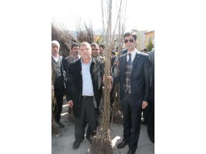 Doğanşar'da 10 Bin Fidan Dağıtıldı