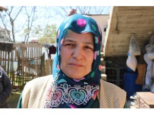 Samsun'da 4 Ay Önce Bulunan Cesedin Kimliği Belirlendi