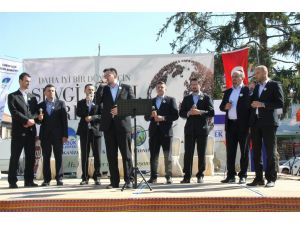 Kutlu Doğum Haftası