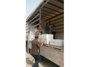 Şırnak'ta İki Milyon Paket Gümrük Kaçağı Sigara Ele Geçirildi