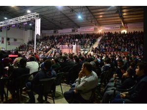 Kutlu Doğum Haftası