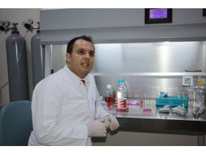 Kuşburnu, Kırmızı Ve Karadut Şifa Kaynağı