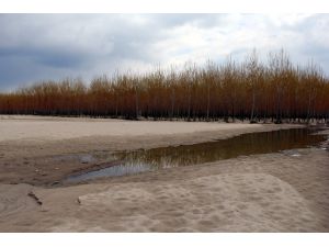 "Nehir Taşkınları Bitti, Kumu Kaldı"