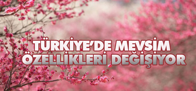 "Türkiye'de mevsim özellikleri değişiyor"