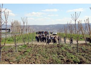Doğanşar’da, "Meyveciliği Geliştirme Projesi"