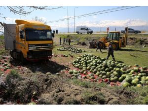 Devrilen Tırdaki Tonlarca Karpuz Tarlaya Saçıldı