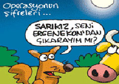 Memecan çizgisiyle Ergenekon gündemi