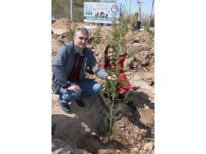 Aksaray'da Yetimler Fidan Dikti