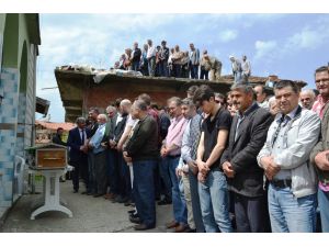 Üniversitelilerin Bulunduğu Otomobilin Tıra Çarpması