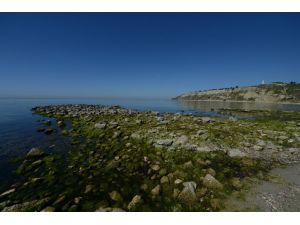 Çanakkale Zaferi'nin 100 Yıllık "Kutsal" Mirası