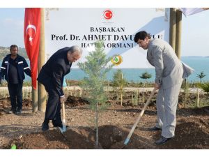 Adana'da Başbakan Davutoğlu Adına Hatıra Ormanı Oluşturuldu