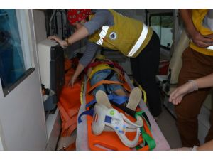 Ordu'da Tarım Aracı Devrildi: 9 Yaralı